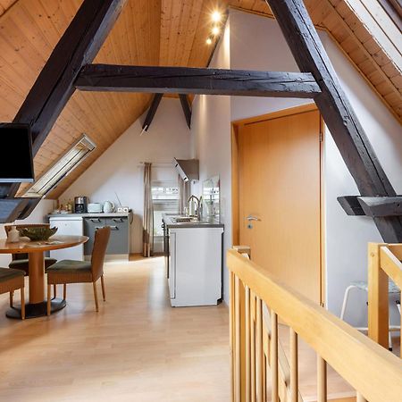 Ferienwohnung An Der Brigach Donaueschingen Bagian luar foto