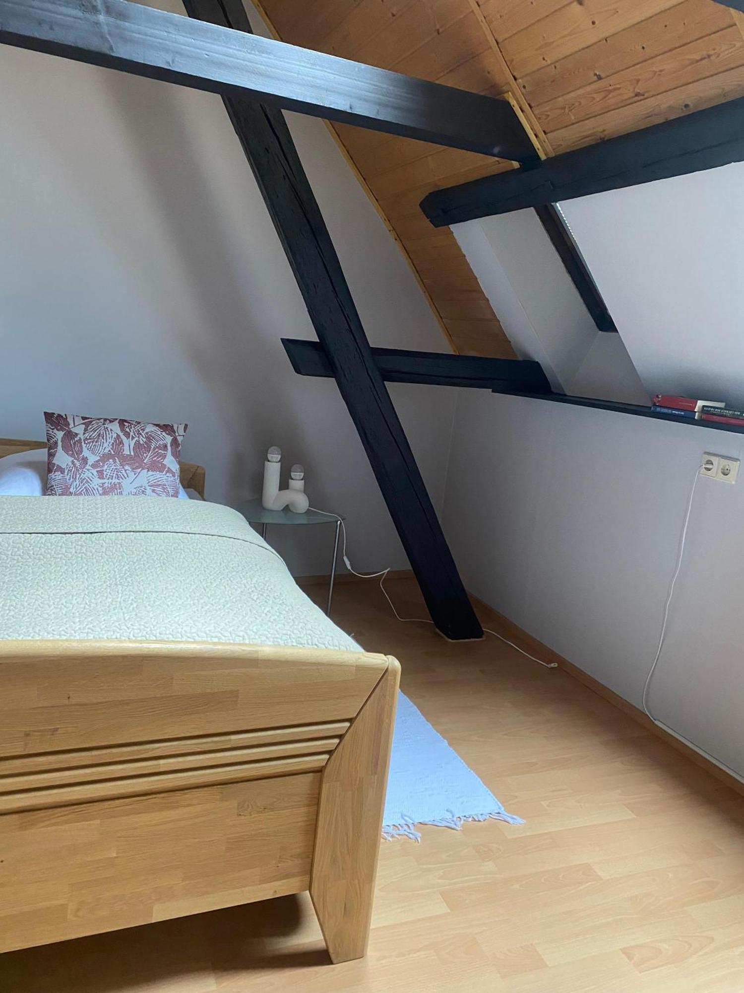 Ferienwohnung An Der Brigach Donaueschingen Bagian luar foto