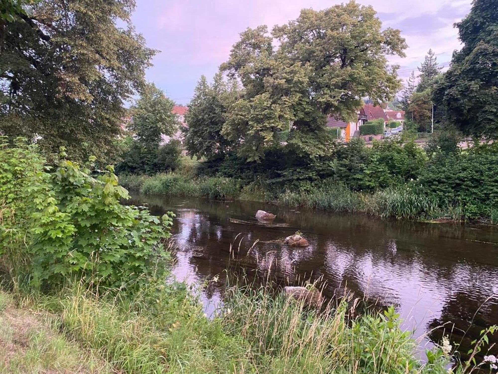 Ferienwohnung An Der Brigach Donaueschingen Bagian luar foto