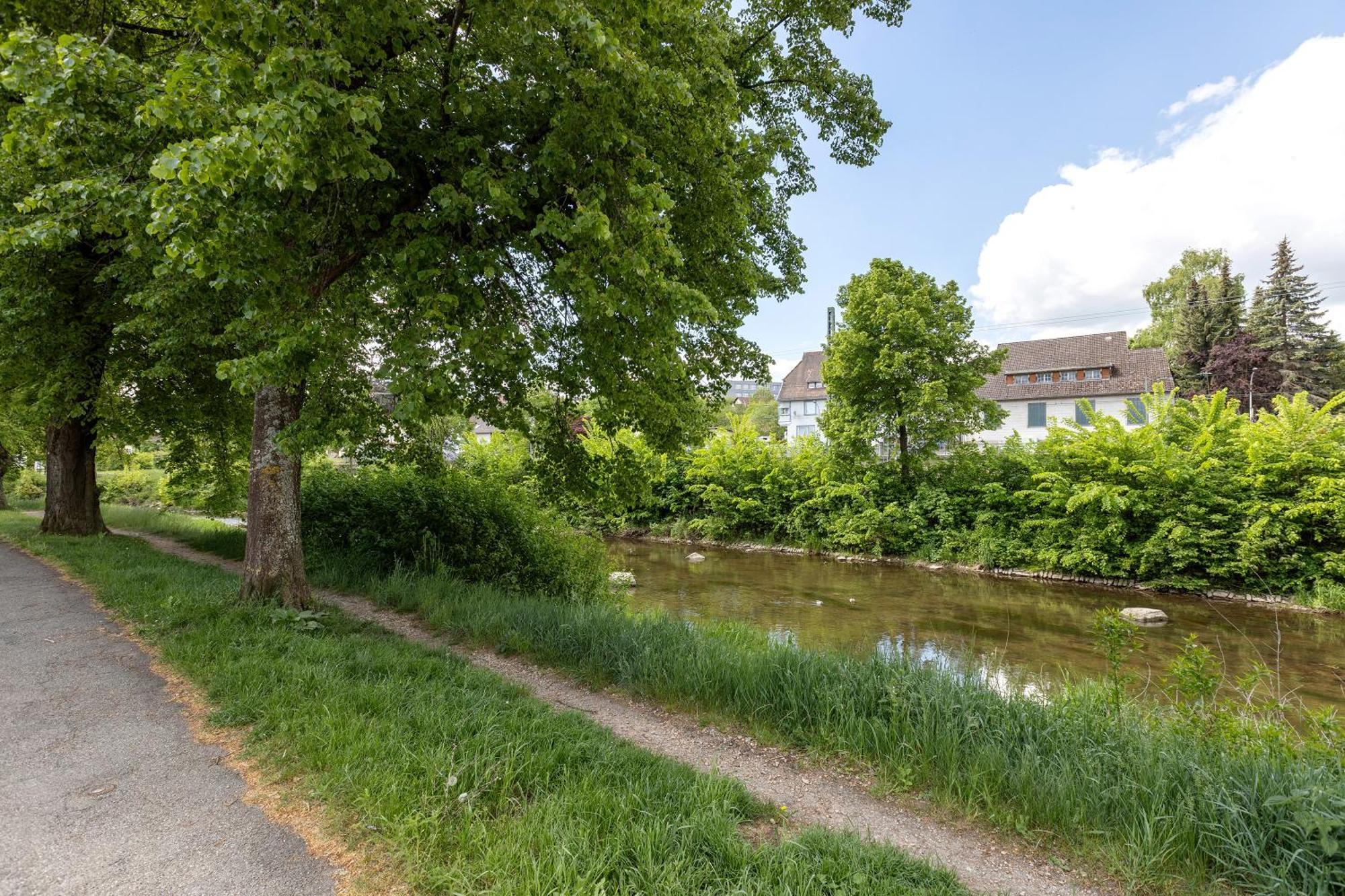 Ferienwohnung An Der Brigach Donaueschingen Bagian luar foto