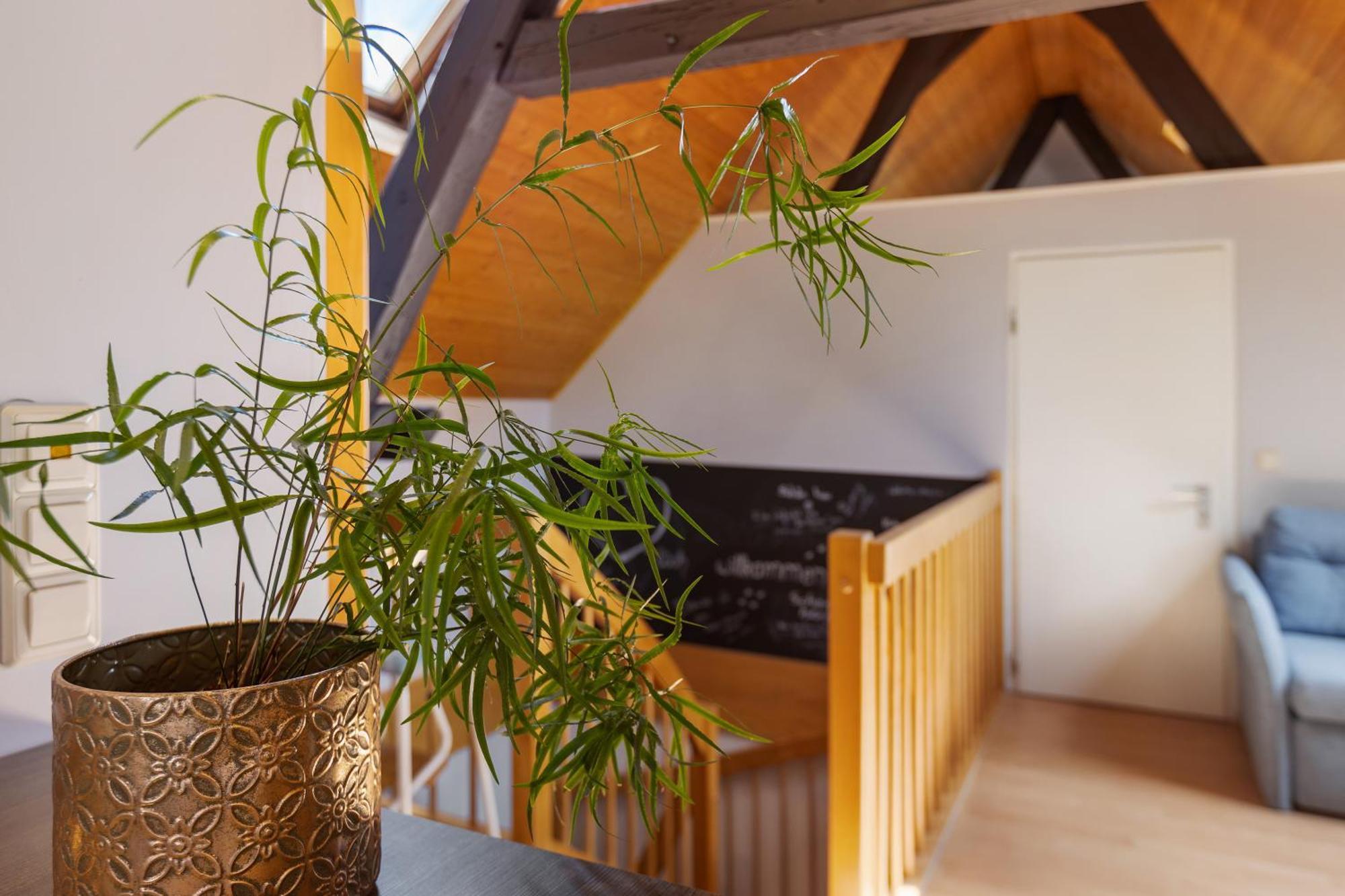 Ferienwohnung An Der Brigach Donaueschingen Bagian luar foto